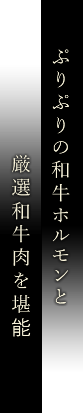 ぷりぷりの和牛ホルモンと厳選和牛肉を堪能